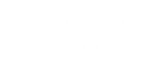 Volleybalclub Gilze